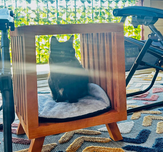 Outdoor Cat Bed Side Table